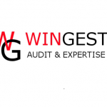 wingest audit & expertise